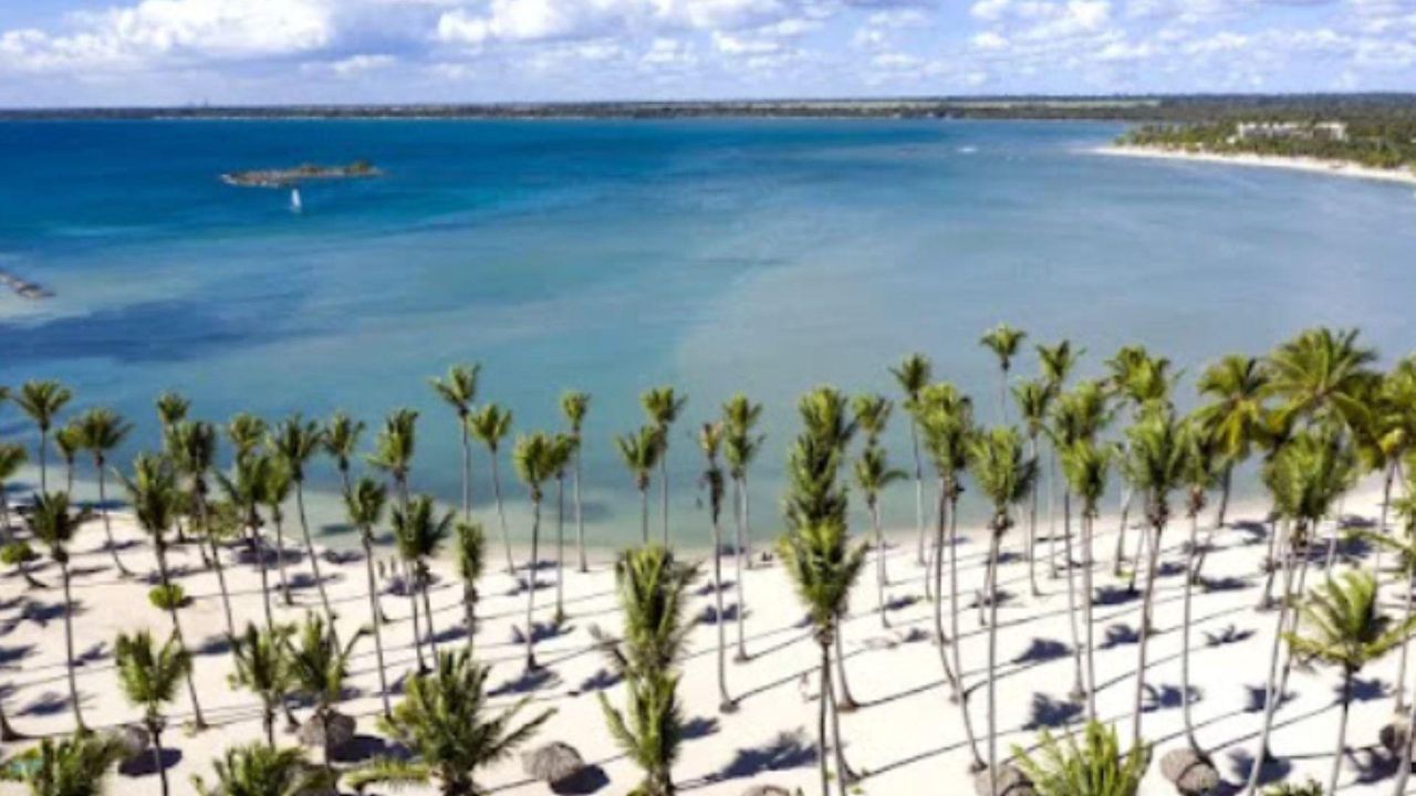 Modern Beachside Apartments for Sale in Playa Nueva Romana photo 2