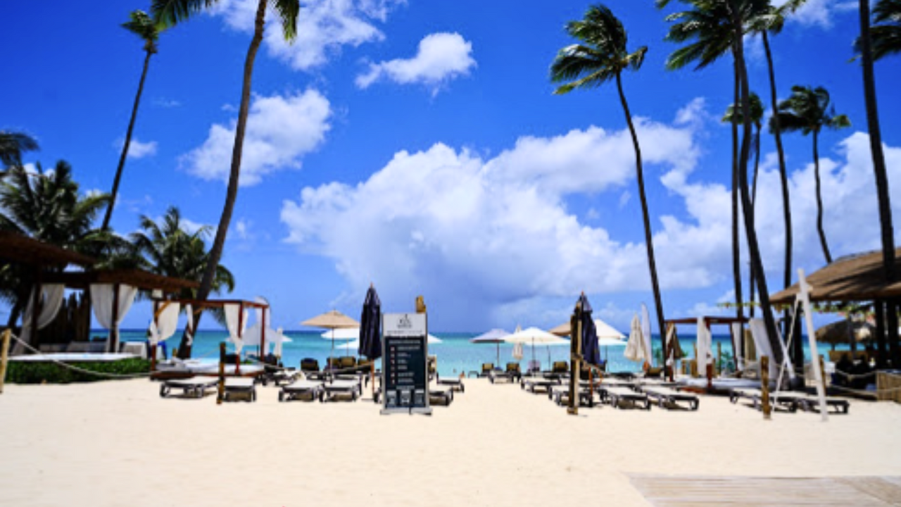 Spacious 1 Bedroom Condos, 10min Walk to Bavaro Beach photo 4